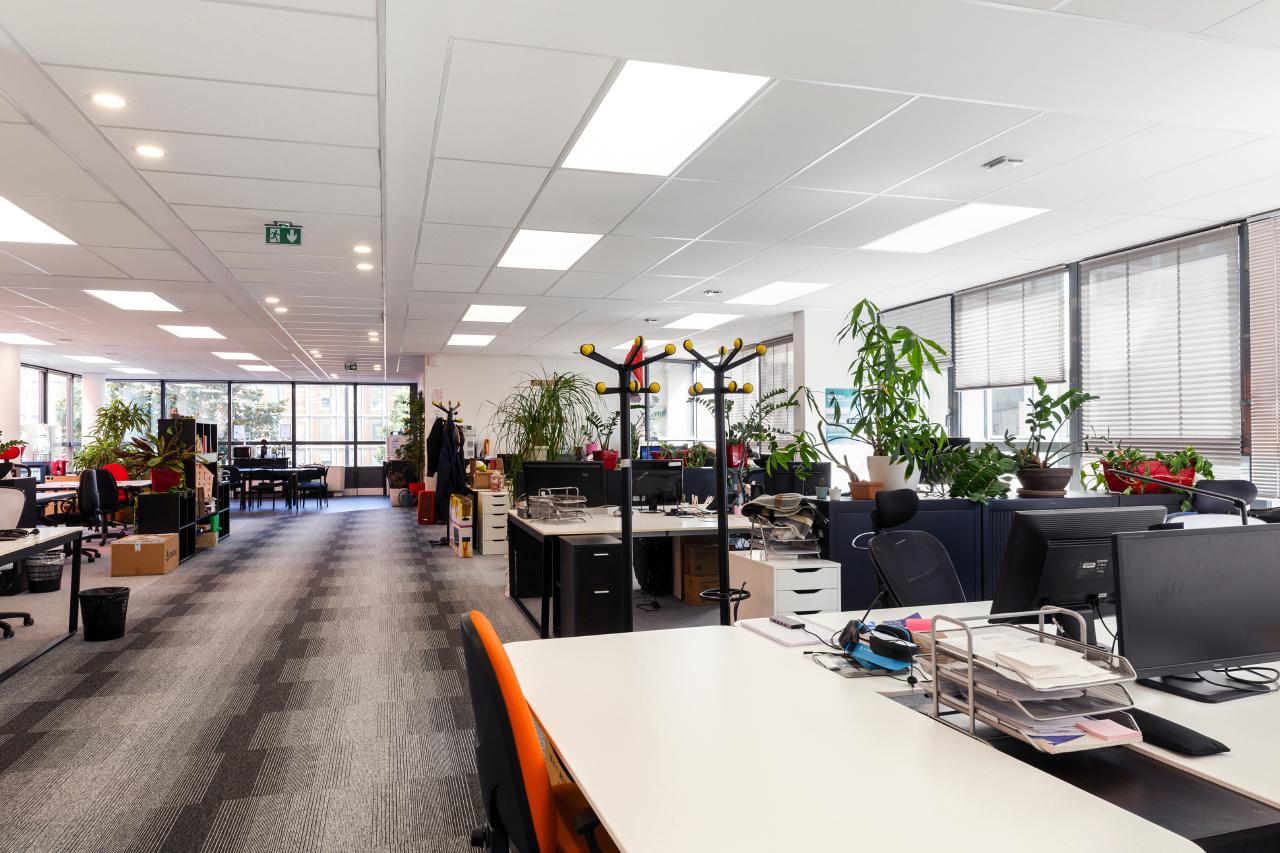 Bureau Ivry-sur-Seine 910m² Location bureau Ivry-sur-Seine Val-de-Marne OLBUR2104453 6
